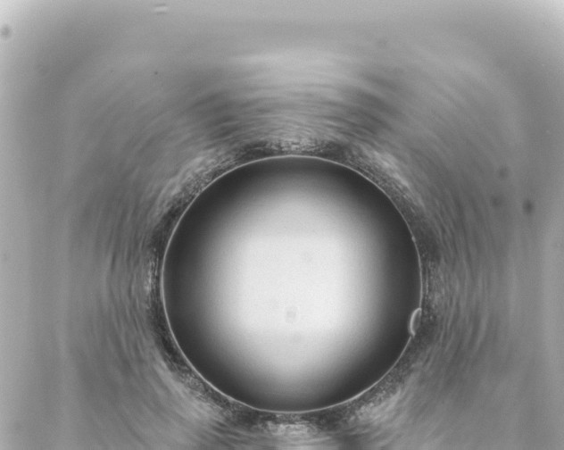 X0000088430645200705291526