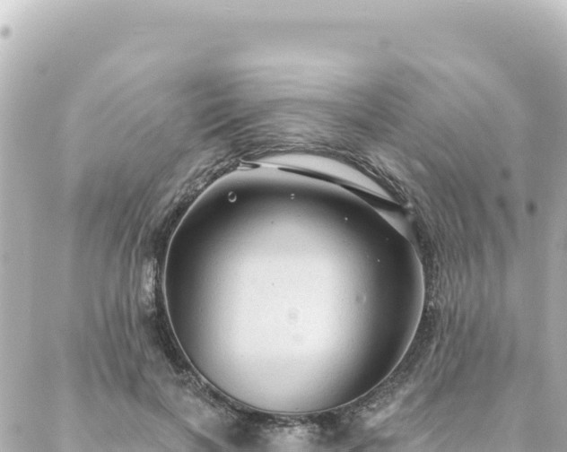 X0000088430646200705291526