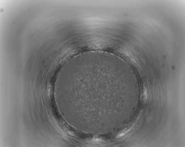 X0000088430647200705291526