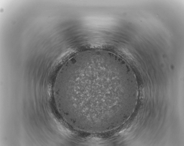 X0000088430648200705291526