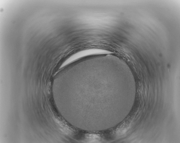 X0000088430649200705291526