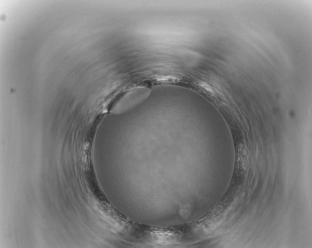 X0000088430650200705291526