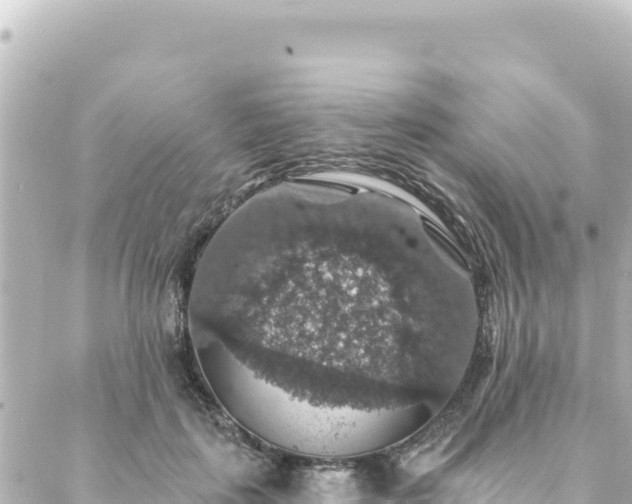 X0000088430651200705291526