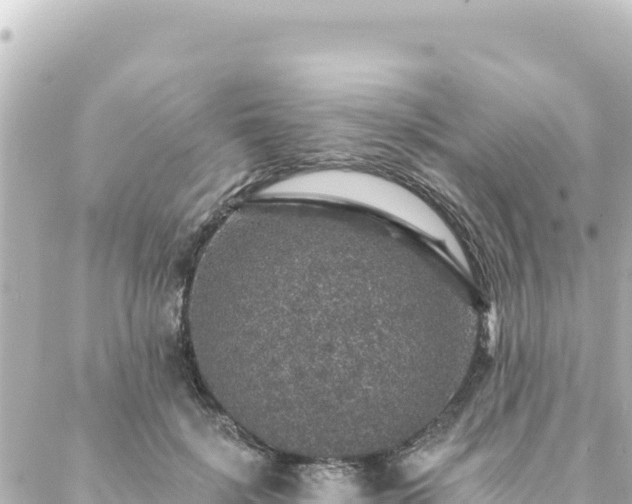 X0000088430652200705291526