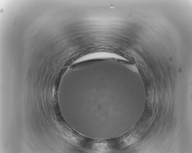 X0000088430653200705291526