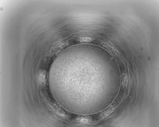 X0000088430655200705291526