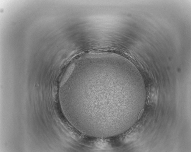 X0000088430656200705291526