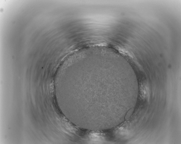 X0000088430657200705291526