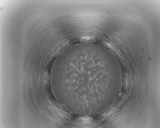 X0000088430659200705291526