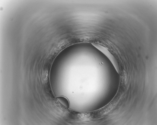 X0000088430660200705291526