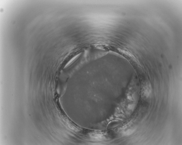 X0000088430661200705291526