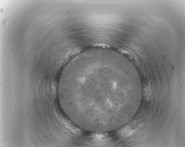 X0000088430662200705291526