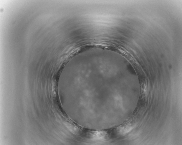 X0000088430663200705291526