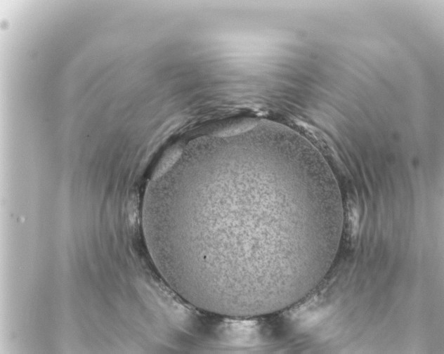 X0000088430665200705291526