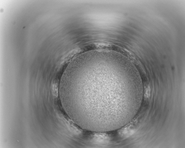 X0000088430666200705291526