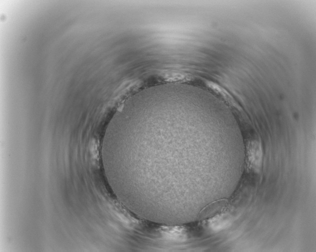 X0000088430667200705291526