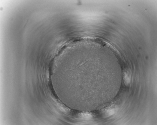 X0000088430668200705291526