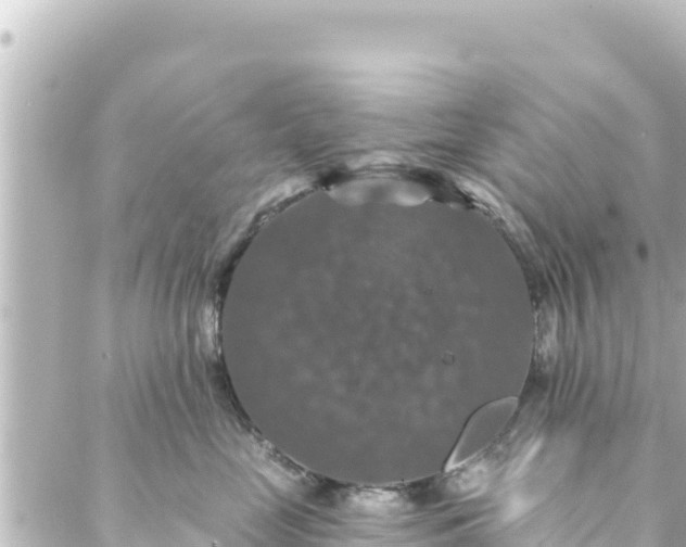 X0000088430669200705291526