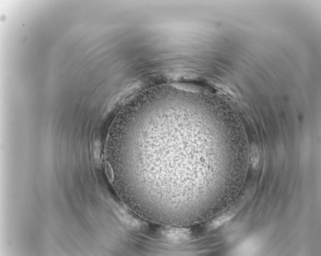 X0000088430670200705291526