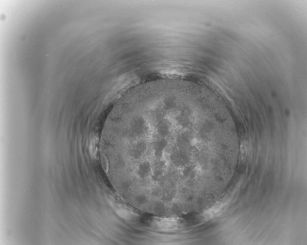 X0000088430671200705291526