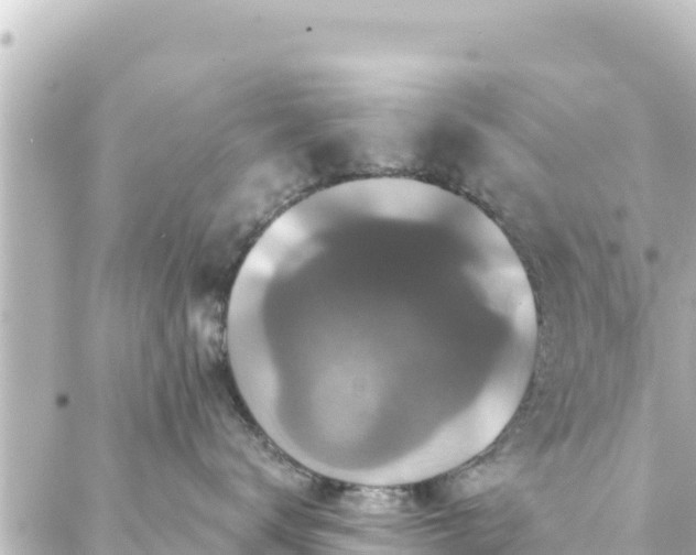 X0000088430672200705291526