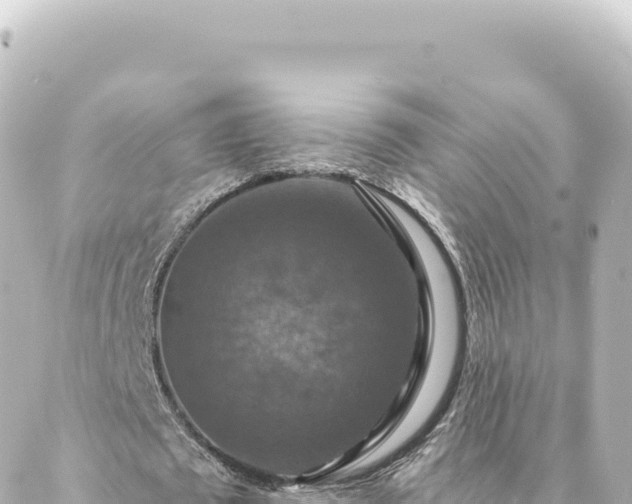 X0000088430673200705291526