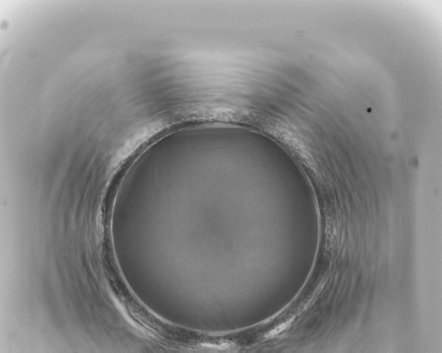 X0000088430674200705291526