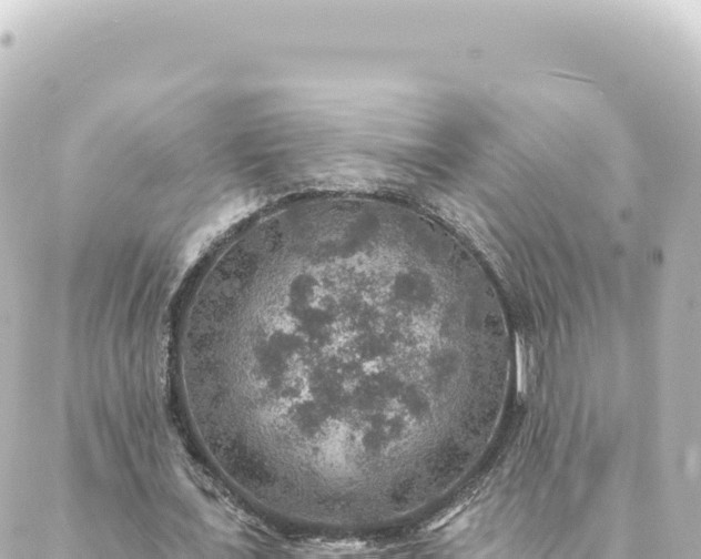 X0000088430675200705291525