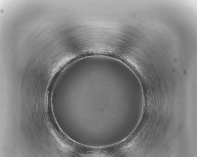 X0000088430678200705291525