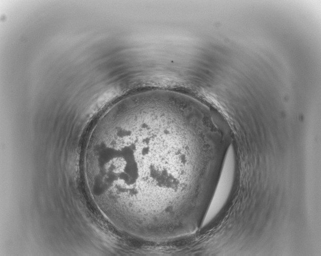 X0000088430679200705291525