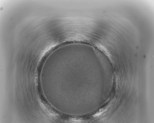 X0000088430680200705291525