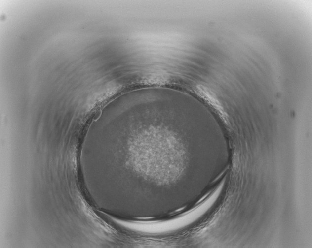 X0000088430681200705291525