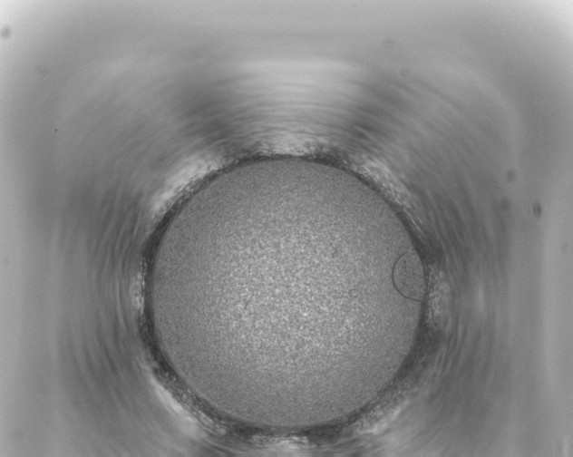 X0000088430683200705291525