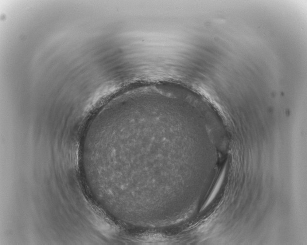 X0000088430685200705291525