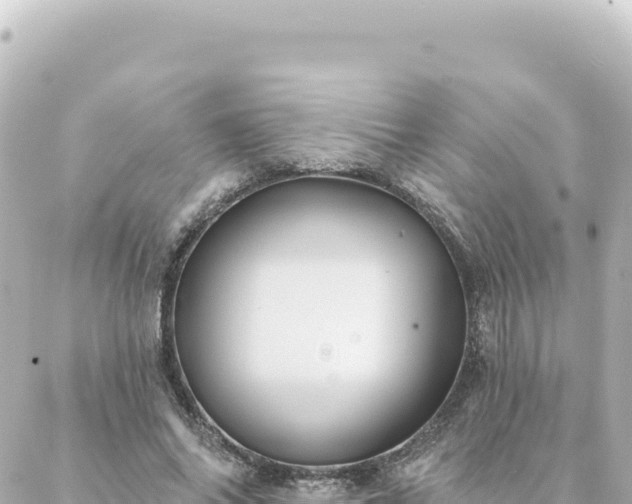 X0000088430686200705291525