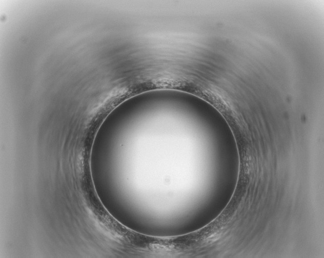 X0000088430690200705291525