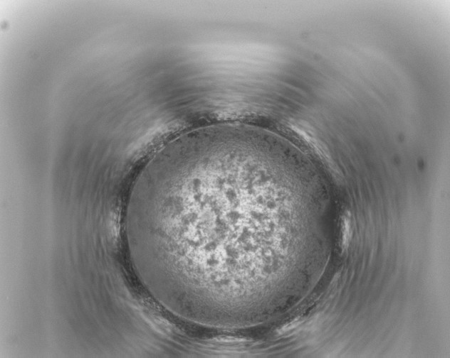 X0000088430691200705291525