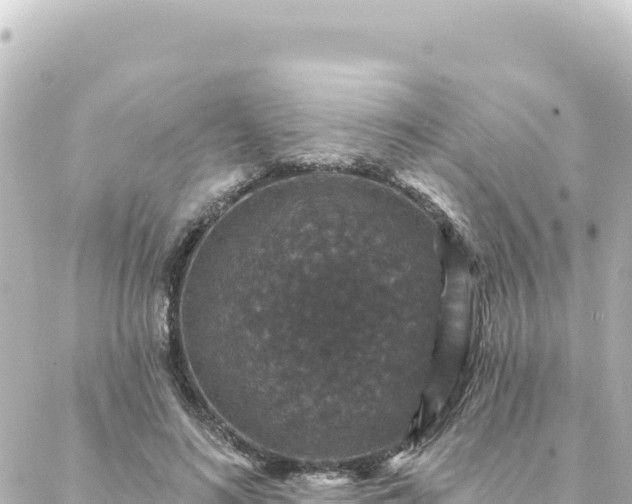 X0000088430692200705291525