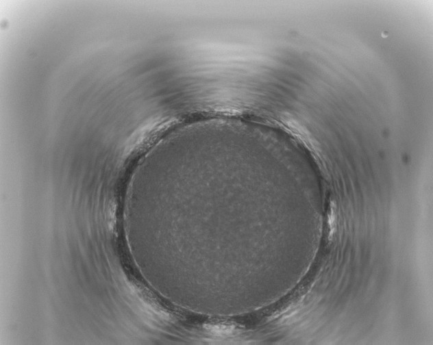 X0000088430693200705291525