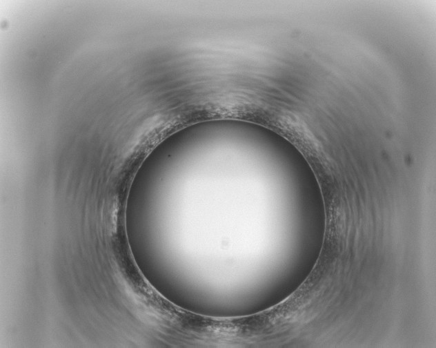 X0000088430694200705291525