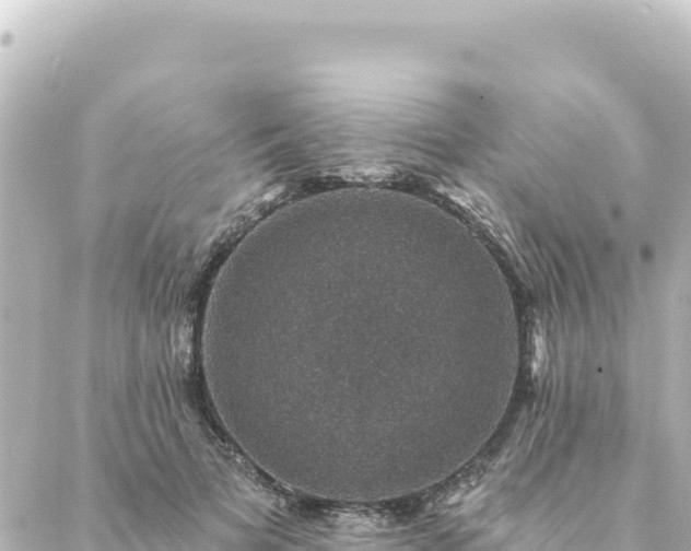 X0000088430697200705291525