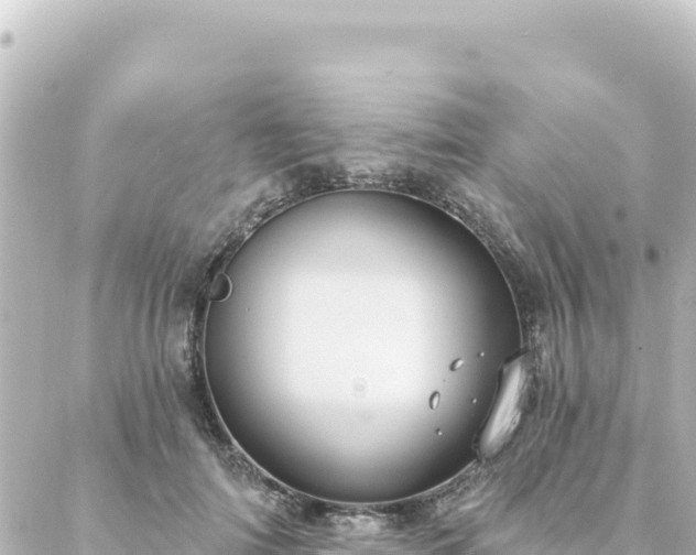 X0000088430698200705291525