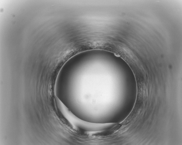 X0000088430700200705291525