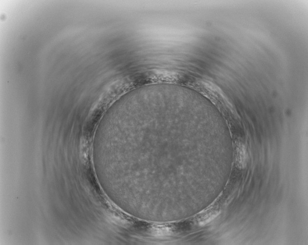 X0000088430701200705291525