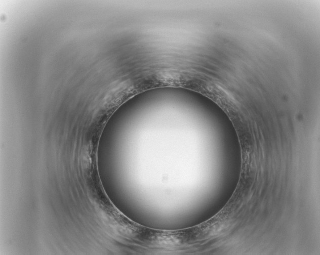 X0000088430702200705291525