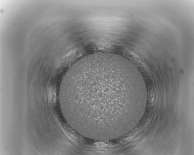 X0000088430703200705291525