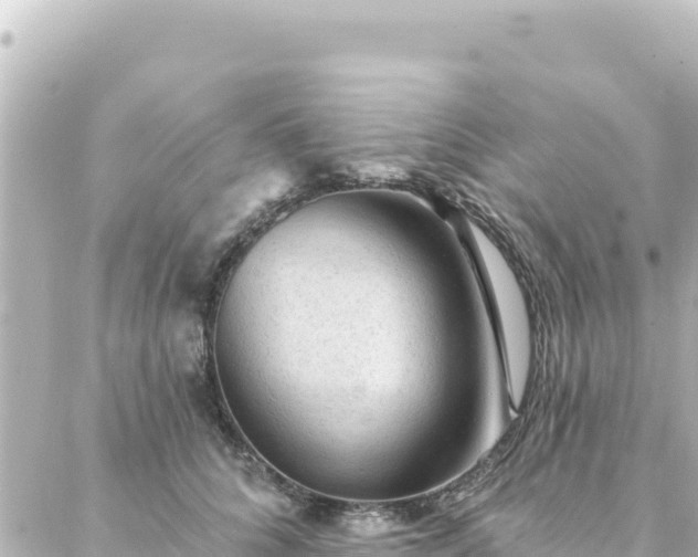 X0000088430704200705291525