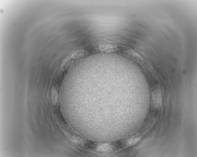 X0000088430705200705291525