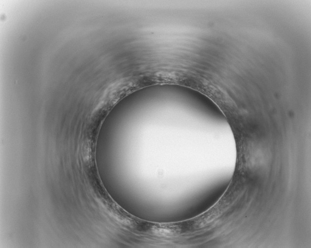 X0000088430706200705291525