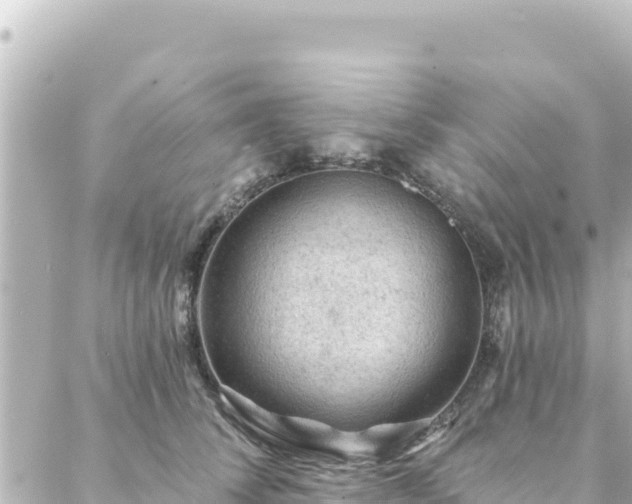 X0000088430708200705291525